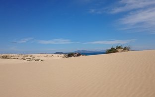 Corralejo Retreats und Reisen