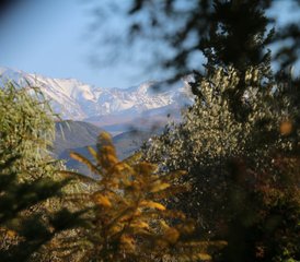8 Day Iyengar Yoga Retreat in Morocco including Meals and Activities - Photo 5