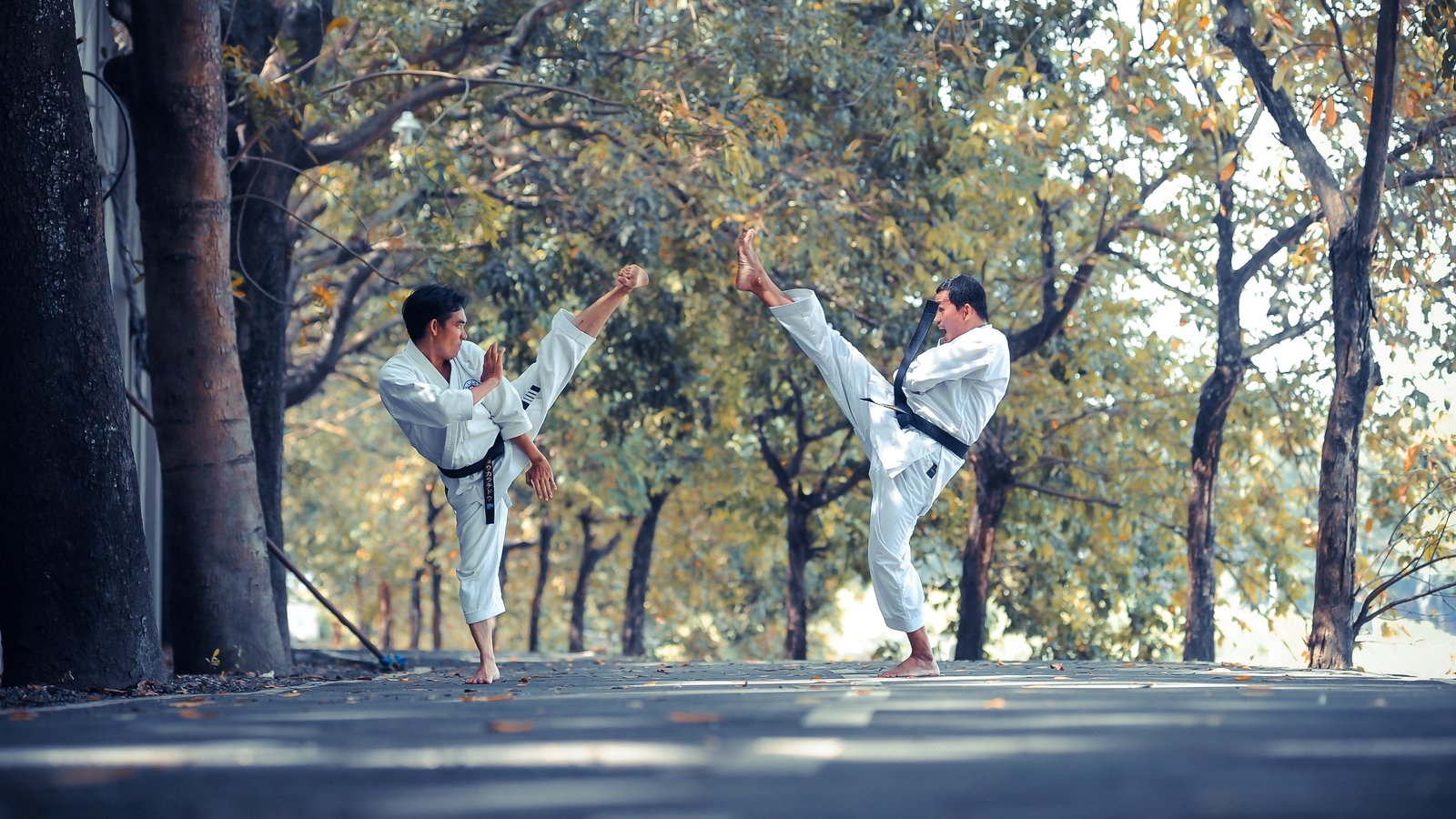 martial art training