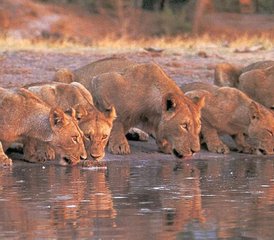 6 Tage Magische Safari in Kenia - Photo 3