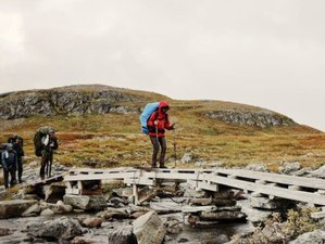 7 Day Women-Only Three Borders Wilderness Hike Across Finland, Sweden, and Norway