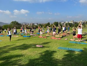 Online 200-Hour Self-Paced Certified Yoga Protocol Instructor Course With 10 Hours of Q&A Sessions