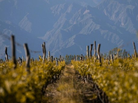 Mendoza