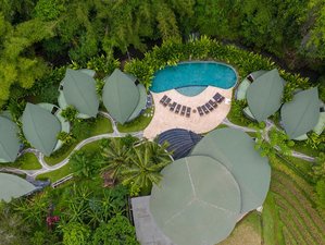 5 Day Eco-Luxury Yoga, Meditation, and Ayurvedic Wellbeing Retreat in Bali, Indonesia
