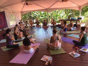 Top 10 Yoga Teacher Training in Florida