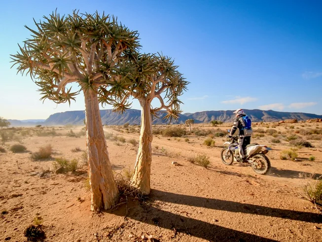 11 Day Guided Motorcycle Tour in South Africa & Namibia: Cape to Namib, Namibian Desert Adventure photo 3