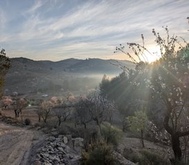5 Tage Männer Retreat mit Yoga, Breathwork und Sharing Circles im Sonnigen Süden Spaniens - Photo 5