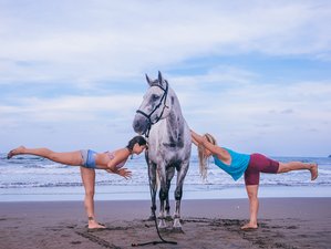 Asistencia solapa Continuación 18 retiros de yoga en el Puerto Viejo de Talamanca | BookYogaRetreats