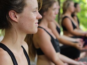 7-Daagse Yoga Retreat in Bocas Del Toro
