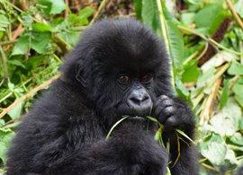 Rwanda Retraites en Reizen