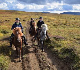 4-Daagse Comfortabele Paardrijvakantie in Húsavík, Norðurþing, IJsland - Photo 3