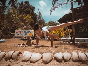 18 Day 200-Hour Traditional Hatha and Vinyasa Yoga Teacher Training in Koh Phangan, Thailand