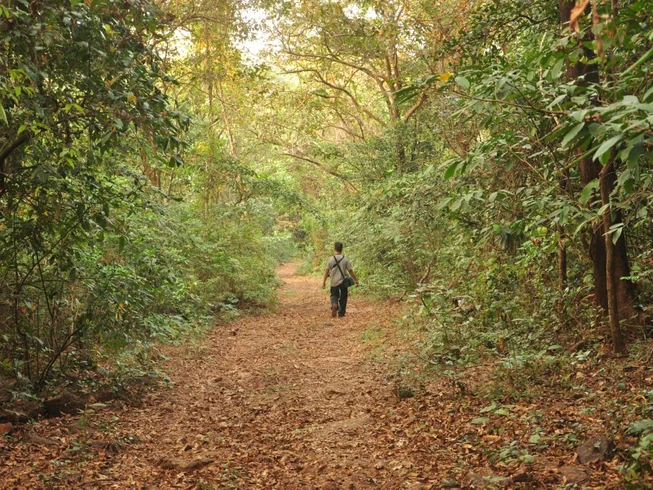 9 Day "Tropical Twister" Guided Loop Motorcycle Tour in Goa and Karnataka, India photo 10