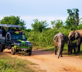 6-Daagse Geweldige Safari in Zuid-Tanzania naar Nyerere-, Mikumi- en Udzungwa Mountain National Parken - Photo 4