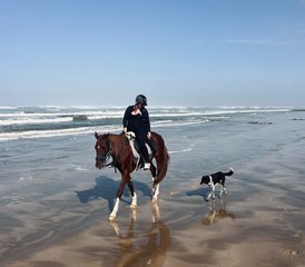 3 jours en stage d’équitation et de randonnée à cheval au sud d’Essaouira, Maroc - Photo 5