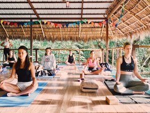 21 días de profesorado de yoga de 200 horas en Playa Hermosa 