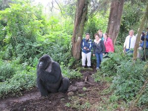 3 Day Gorilla Trekking Safari in Rwanda