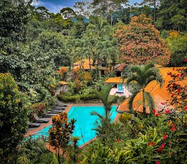 7 jours-85h en formation de professeur de yin yoga somatique sensible aux traumatismes à La Fortuna, Costa Rica - Photo 5