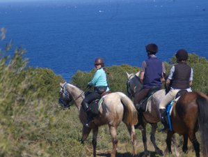 6 Day Discovering the Ampurdan and the Costa Brava Horse Riding Holiday in Catalonia