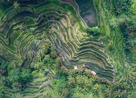 Tabanan Retreats & Trips
