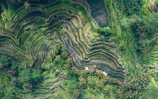 Tabanan Retreats & Trips