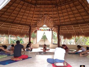 6 Day Ayahuasca Retreat In Cancun Tripaneer Com