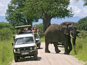8 Day Lodge Safari Private Tour in Northern Tanzania