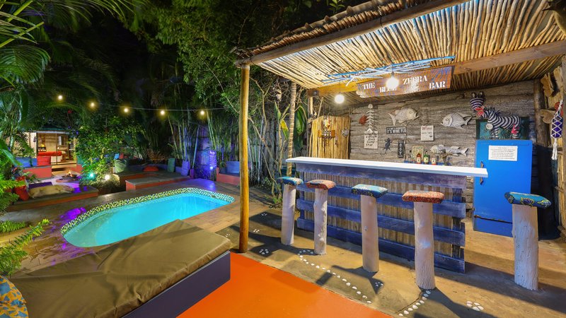 6 Day Tropical Paradise Surf Camp for All Levels in Ponta do Ouro, Mozambique