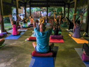 8 Days Nourished By The Elements Yoga Retreat In Amed Bali 8 Days Nourished By The Elements Yoga Retreat In Amed Bali