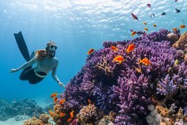 Luxury Retreats & Trips
