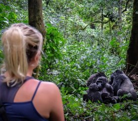 4 jours safari gorilles à Murchison Falls avec croisière, Ouganda - Photo 2