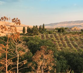 68 jours en retraite de yoga, pleine conscience et marche en Sicile, Italie - Photo 1
