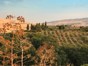 8 Day Yoga, Mindfulness, and Walking Retreat in Sicily, Italy
