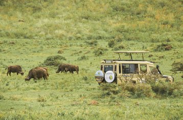8 días de safari de la gran migración de ñus y cruce del río Mara en Tanzania
