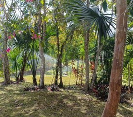 7 Tage Yoga- und Meditationsretreat in Ek Balam, Mexiko für Frauen - Photo 4
