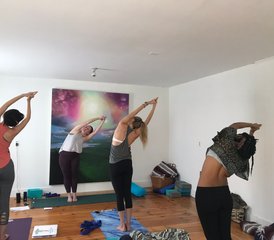 15 jours-200h en formation de professeur de yoga en plein air Wild and Rooted à New York, États-Unis - Photo 5