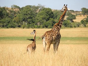 3 Day Tsavo East and Taita Hills Safari in Kenya
