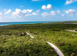 Cozumel Retreats & Trips