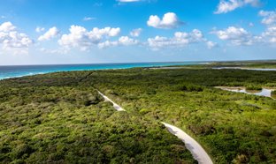 Cozumel Retiros y Viajes
