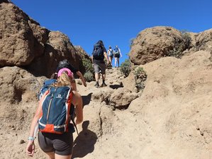 1-Daagse Drie Piekentour bij Roque Nublo, Gran Canaria, Spanje