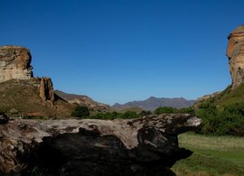 Free State Retreats & Trips