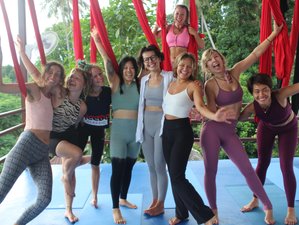 7 Day Sea View 50-Hour Aerial Yoga Teacher Training Beginners Level 1 Koh Phangan, Thailand