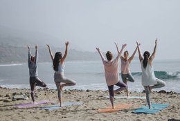 23 jours-200h en formation de professeur de yoga ashtanga, vinyasa et yin à Goa, India