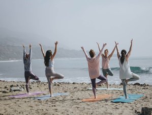 23 Day 200-Hour Ashtanga Vinyasa, and Yin Yoga Teacher Training in Goa, India