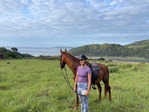 28-Daagse Paardenboerderij-ervaring met Tom en Tori Horse and Heart Adventures in Zuid-Afrika