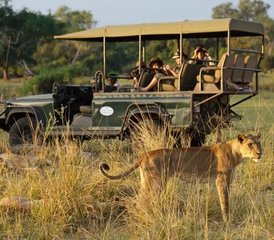 04 Tage Luxus-Safari im South Luangwa-Nationalpark, Sambia - Photo 1