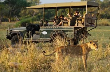 4 Day Luxury Safari in South Luangwa National Park, Zambia