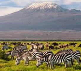 5 Day Safari to Amboseli, Tsavo East, and Tsavo West National Parks in Kenya - Photo 4