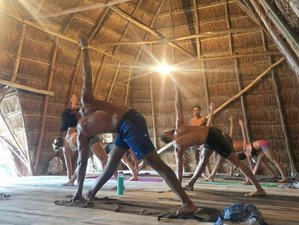 18 Tage 200-Stunden Hatha und Vinyasa Yogalehrer Ausbildung in Bacalar