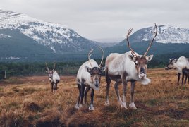 Ranch de Noël Retraites et Voyages